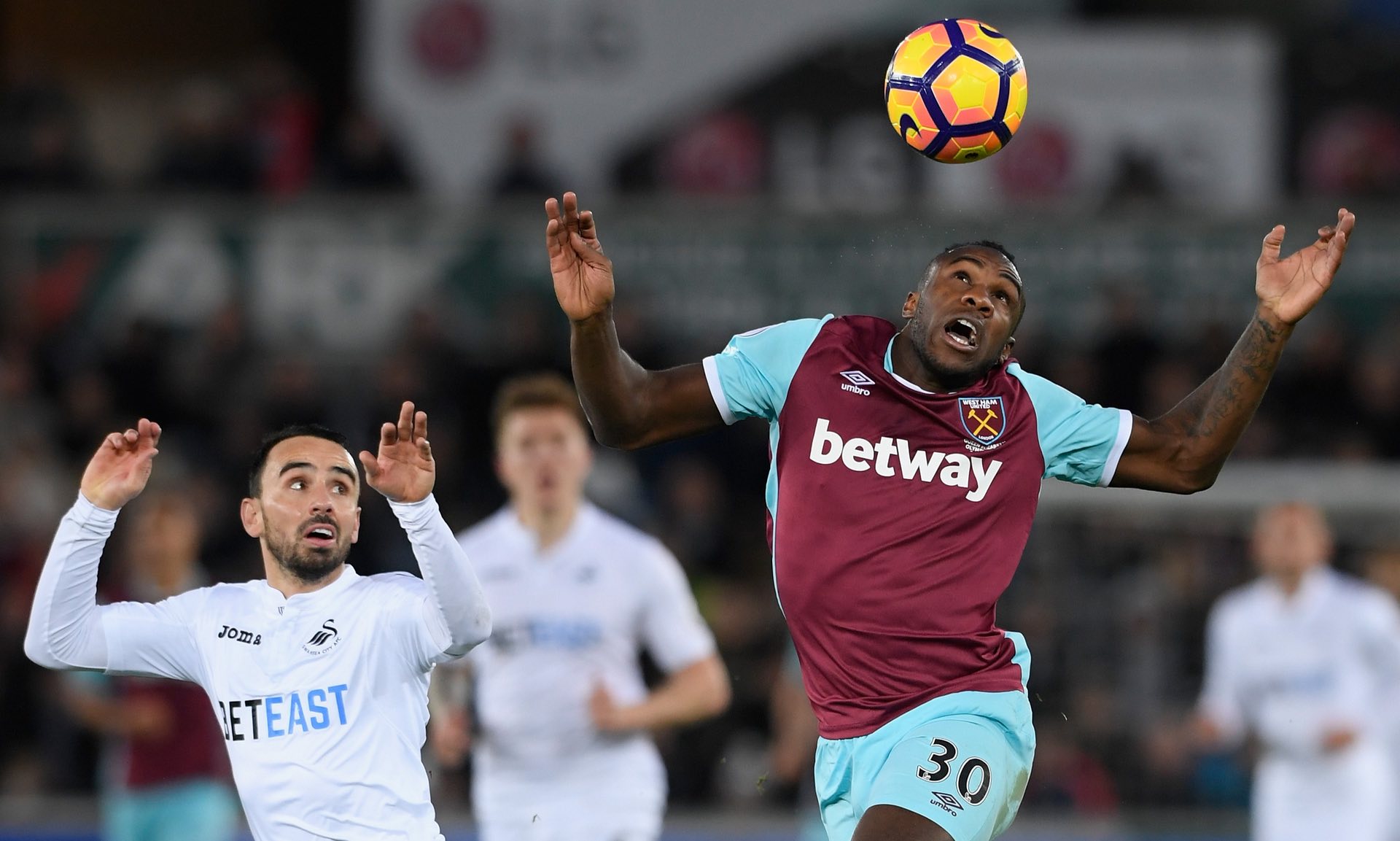 组织核心或 组织核心或